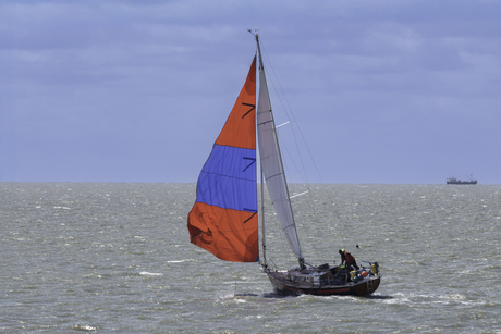 Harlingen-Terschelling zeilrace