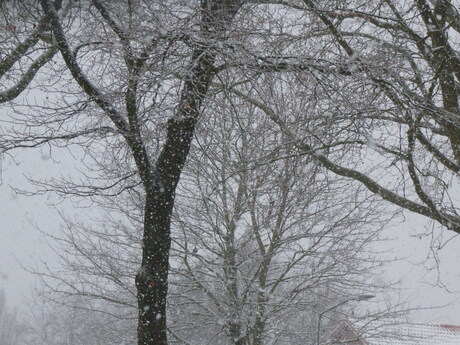De derde dag sneeuw 3