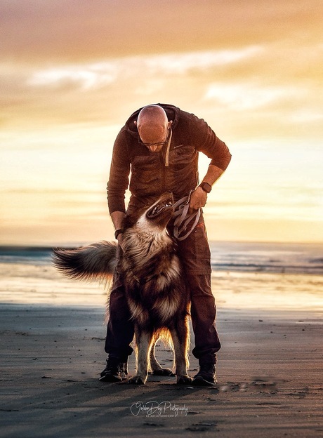 A man and his dog