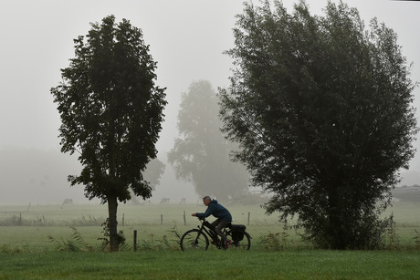 Eenzaam op weg tussen de koeien
