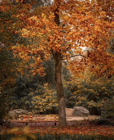 oud dierentuin   te EMMEN