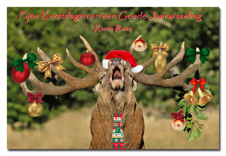 Fijne Kerstdagen