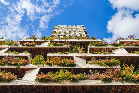 Achterkant Wonderwoods