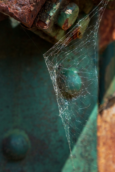 spinnenweb zonder spin