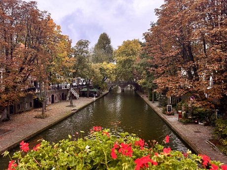 Herfst in de Utrechtse gracht