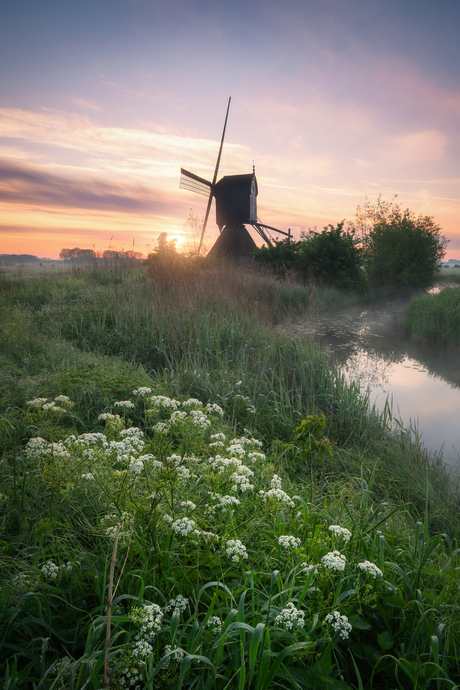 Uitwijkse molen 