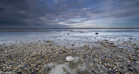 Prachtig Wadden landschap bij het noordelijkste punt in de provincie Groningen
