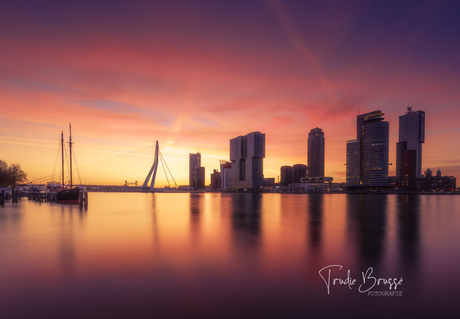 Rooterdam ontwaakt ..