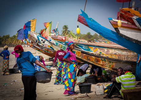 Gambia visserij