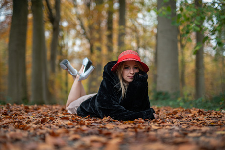 Herfstshoot