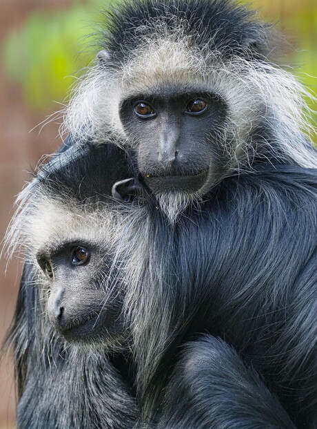 Mama en dochter