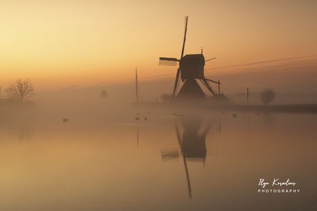 Happy Kings' day from Kinderdijk 