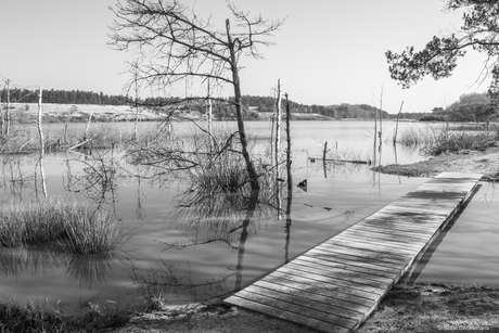 Creepy lake