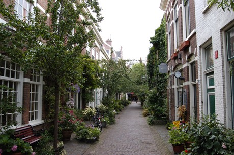 HAARLEM