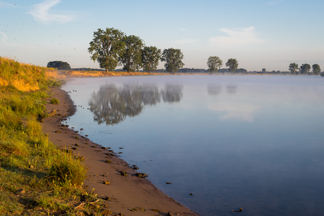 Zicht op de Maas