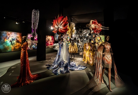 Dare to color. Dare to wear.