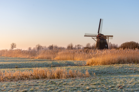 Poldermolen de Steendert