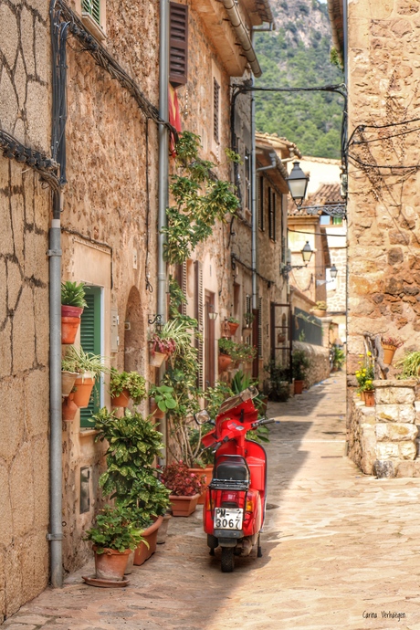 Valldemossa 