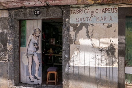 Fotografe in Madeira