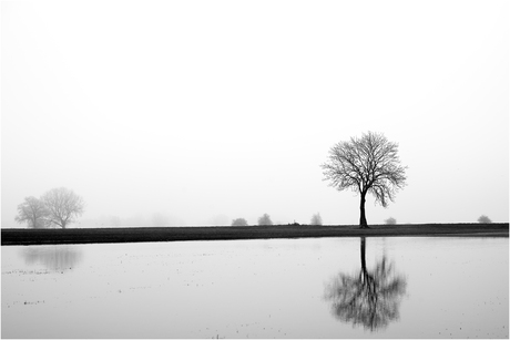 Bronkhorst [422]