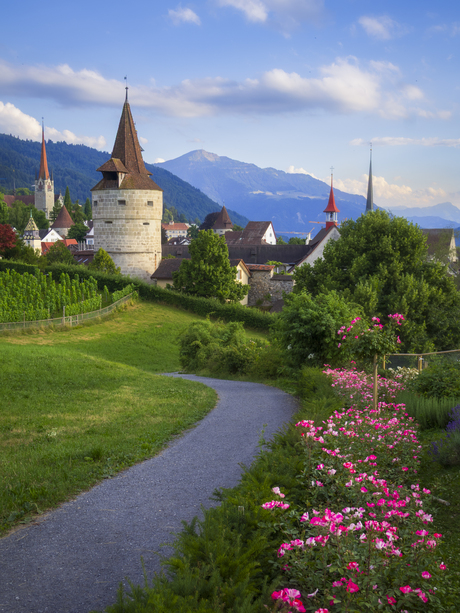 Rozentuin Zwitserland