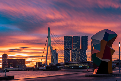 Sunrise Rotterdam
