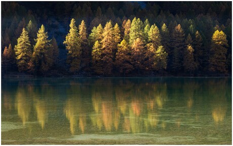 Herfst in Zwitserland 