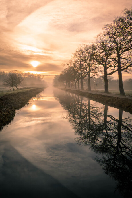 opkomende zon in de mist