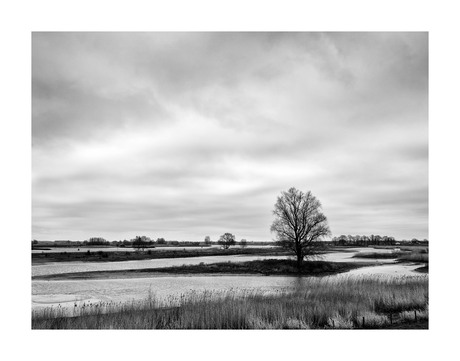 Nederland | Everdingen | De Lek