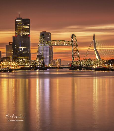 Orange Sunset in Rotterdam 