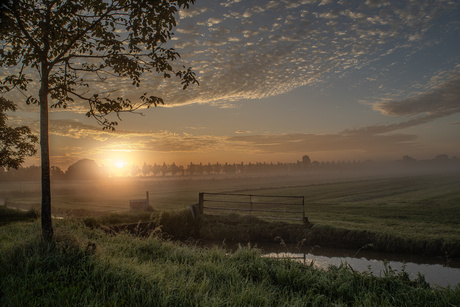 Zonsopkomst in Culemborg