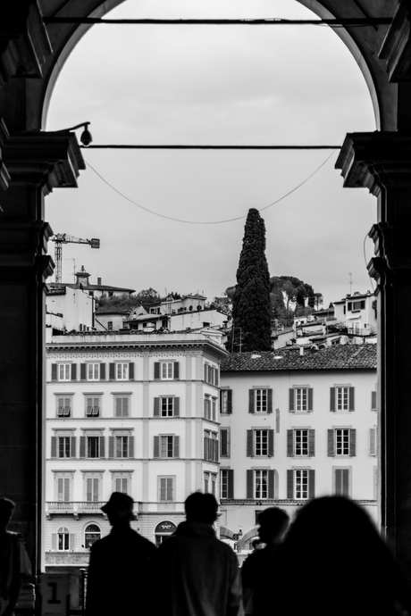 Uffizi, Florence - Italy, 23