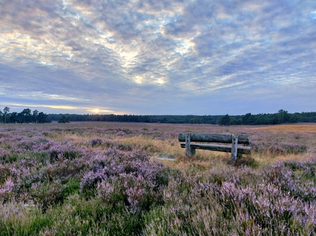 Zonsondergang op de heide 