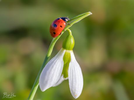 Het voorjaar lonkt..