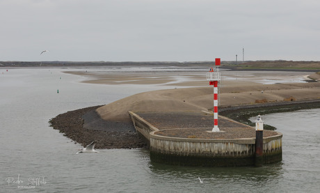 Pier Texel
