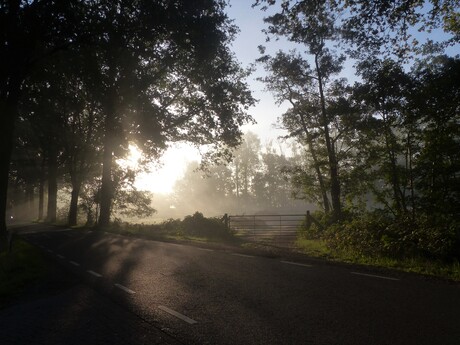 mist in de ochtend