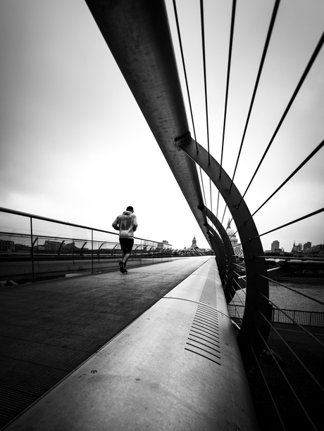 railings lead the way