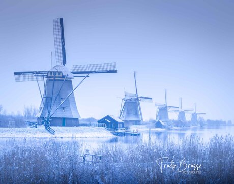 Een Nieuw Sneeuwochtend 