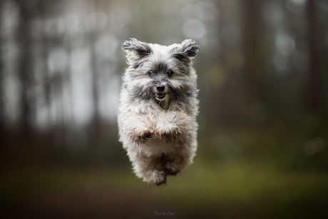 Should I stay or should I go 🚀