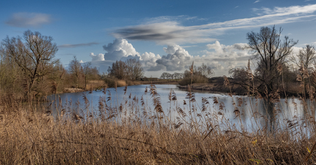 Ooijpolder