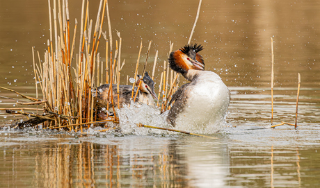 Zo, en klaar is .....