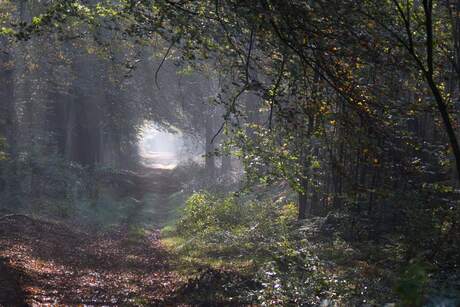 licht aan het eind van de tunnel.