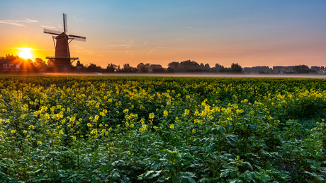 Sunrise at the windmill...