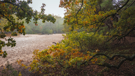 Regen, regen, regen…
