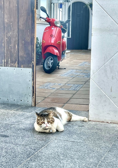 Conil de la Frontera