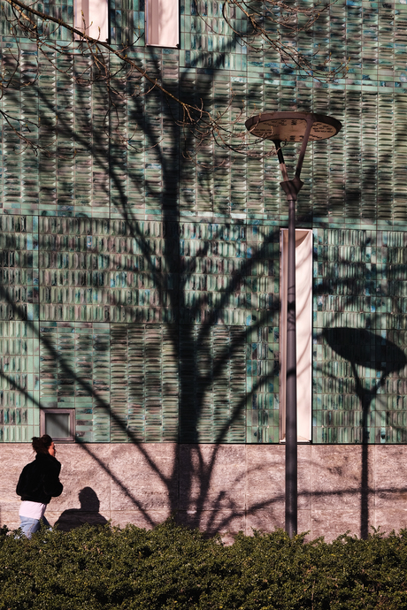 Shadowplay