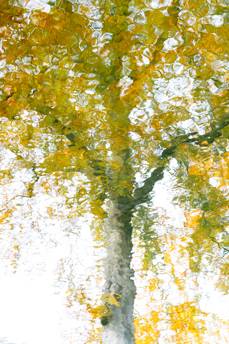 Herfst, tijd voor reflectie