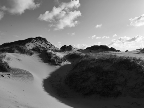 Duinen