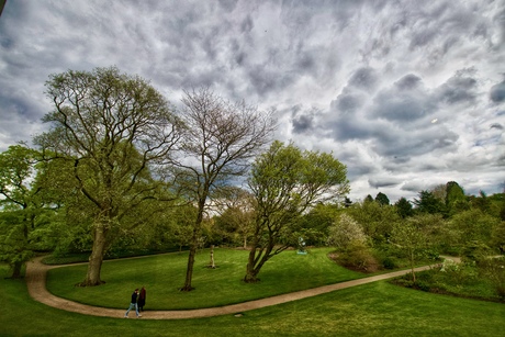 Arboretum