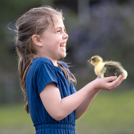 Meisje met kuiken